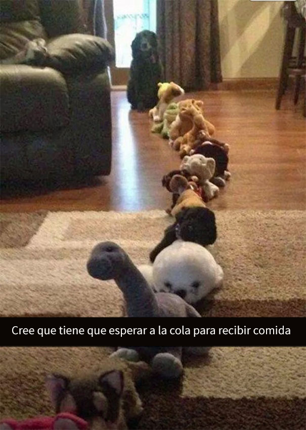 divertidos-snapchats-2-10