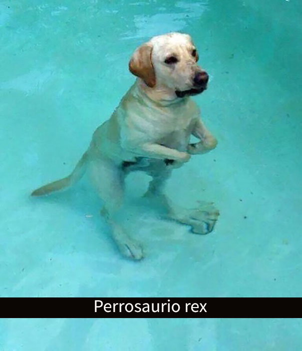 divertidos-snapchats-2-5