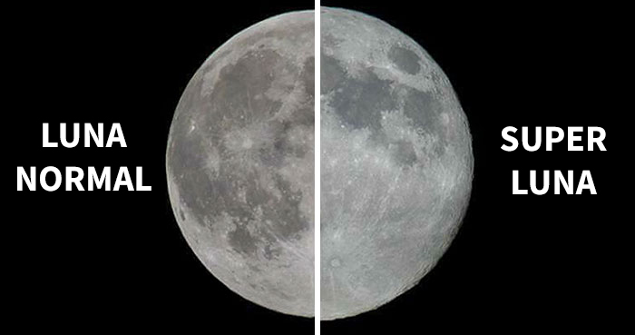 8 Divertidas reacciones a una Super Luna decepcionante