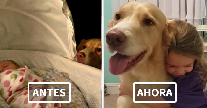 10 Fotos de antes y después de perros y sus dueños creciendo juntos