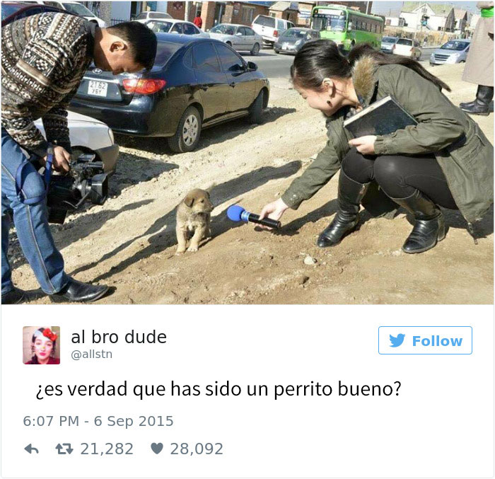 tuits-perros-1
