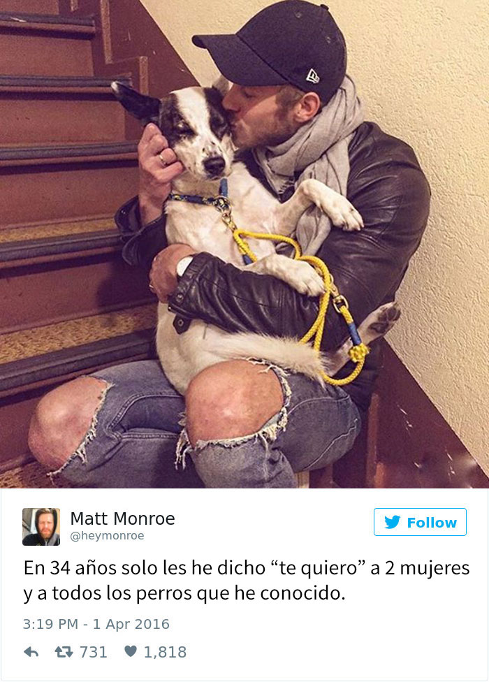 tuits-perros-13