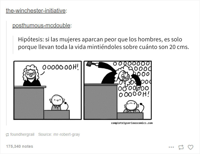 tumblr-feminista-3