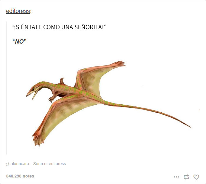 tumblr-feminista-7