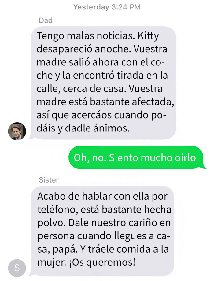 gato-muerto-1