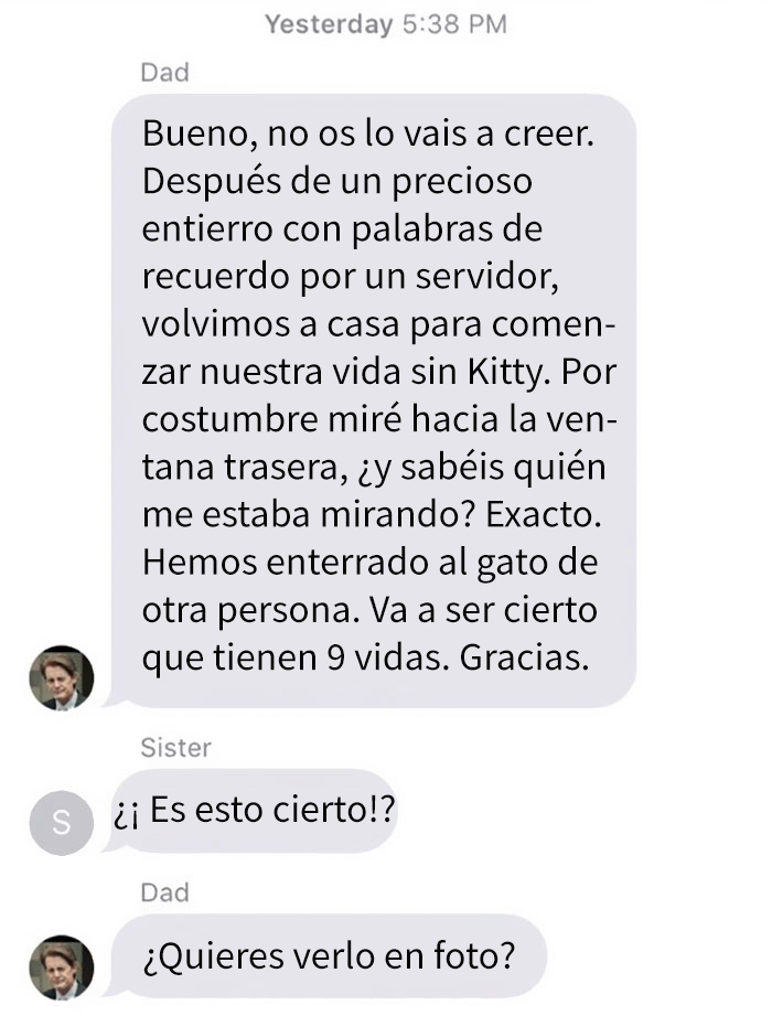 gato-muerto-2