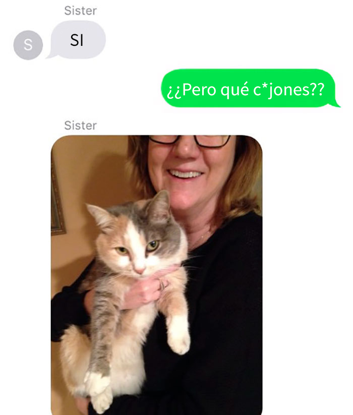 gato-muerto-3