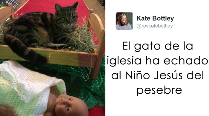 12 Mascotas que odian mucho la Navidad