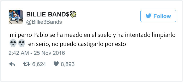 perro-pablo-5