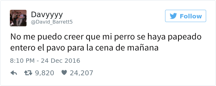 perrotragon1