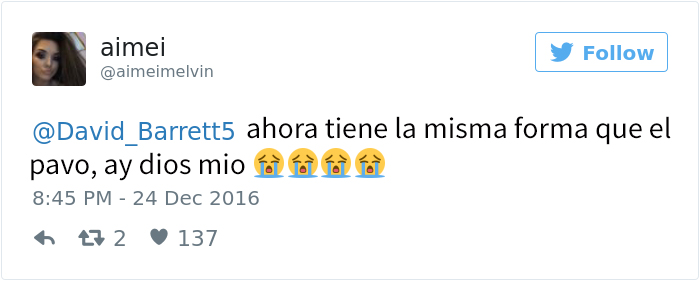 perrotragon2