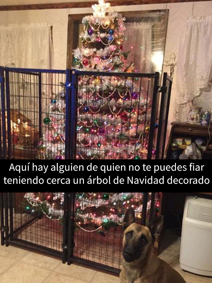 posts-navidenos-humor-7