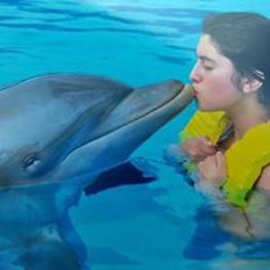 irismp_ avatar