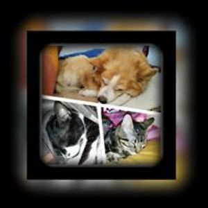 larubiapeligrosa666 avatar