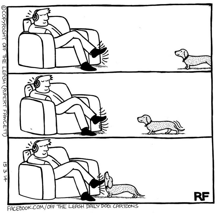 comic-perros-offtheleash-12