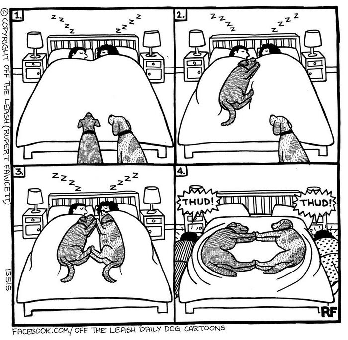 comic-perros-offtheleash-14