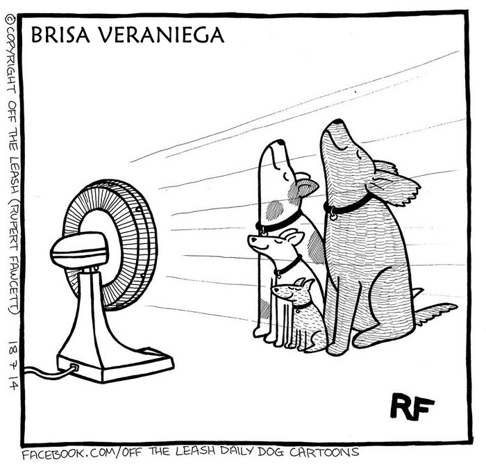 comic-perros-offtheleash-9