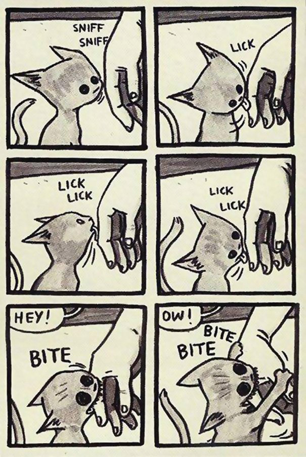 comics-convivir-gatos-9
