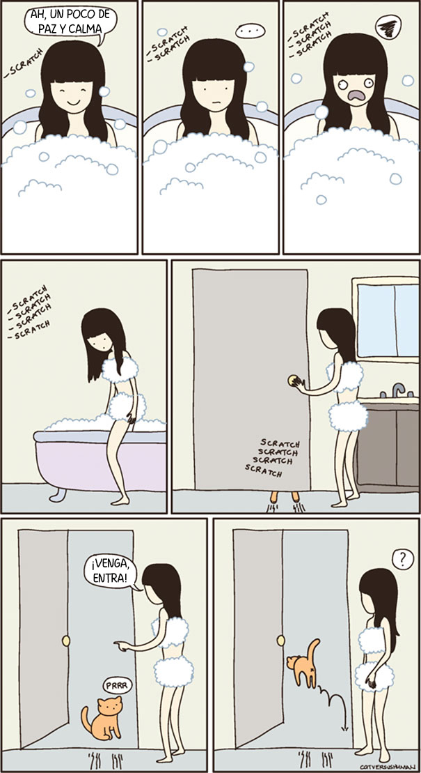 comics-gatos-catversushuman-31