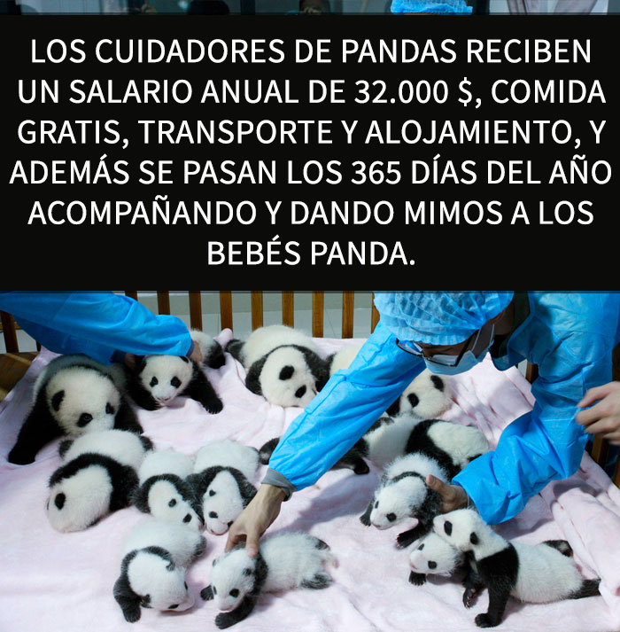datos-alegres-10