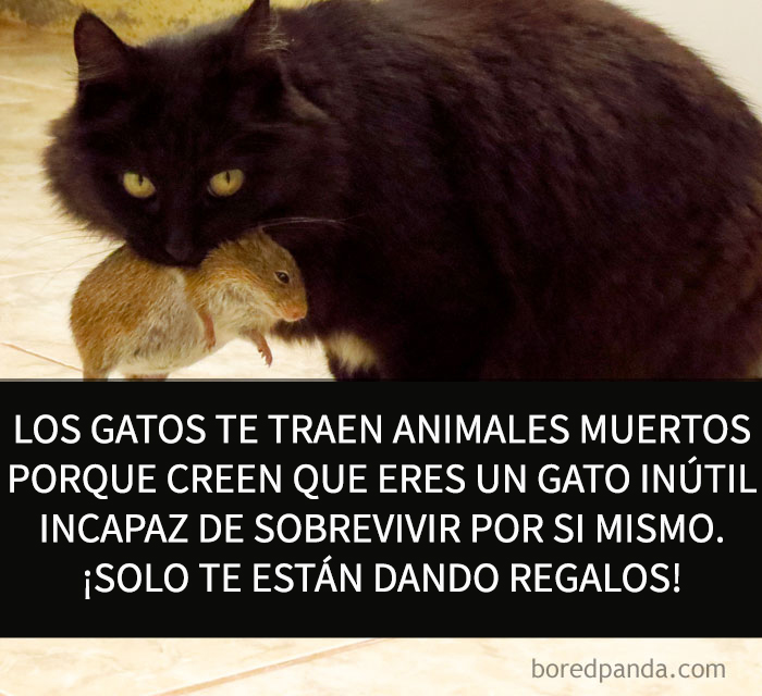 datos-alegres-12