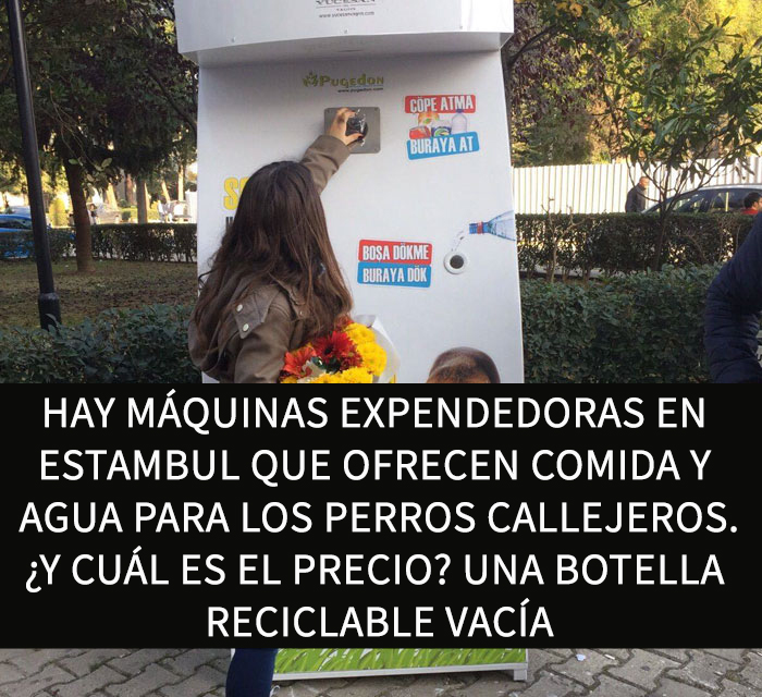 datos-alegres-3