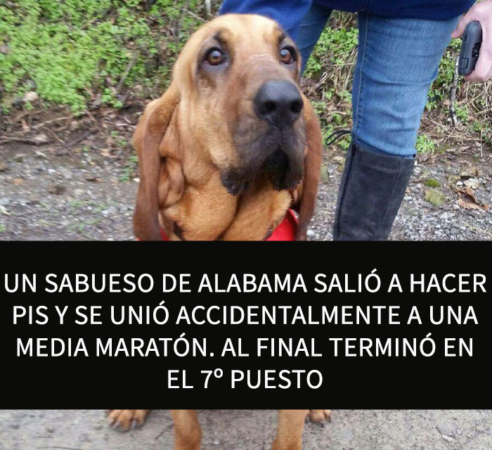 datos-alegres-4