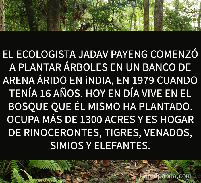 datos-alegres-5