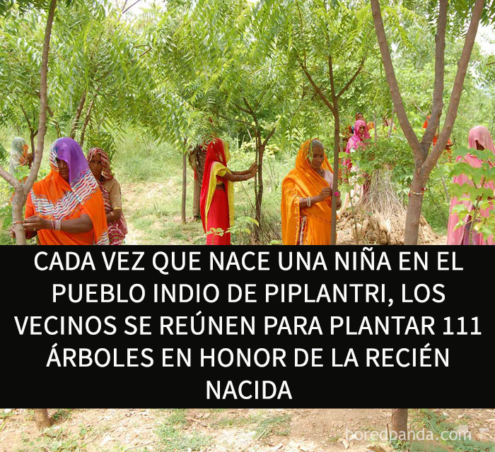 datos-alegres-7