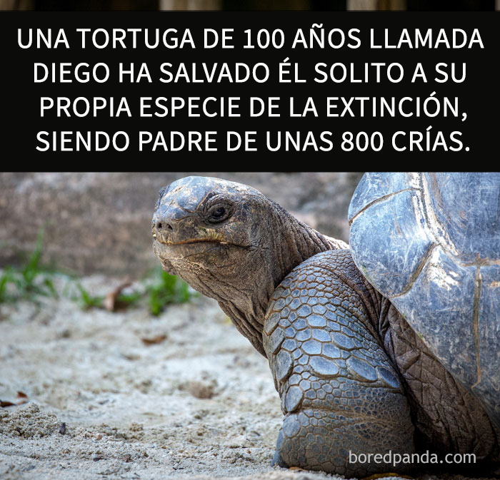 datos-alegres-9