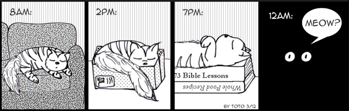 funny-cat-comics-12-586615089422a__700