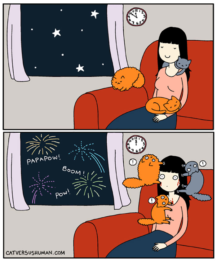 funny-cat-comics-73-5866234f5425d__700