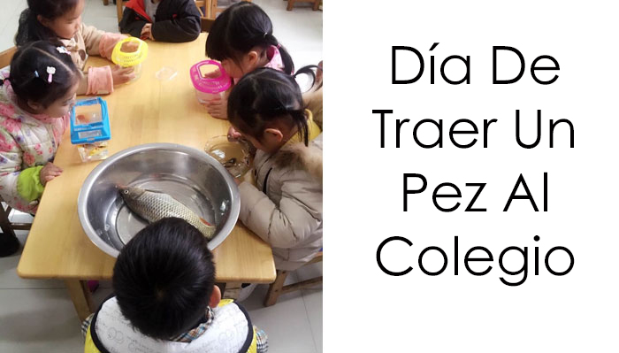 15 Niños que se toman las instrucciones demasiado literalmente