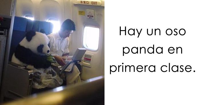 10 Cosas divertidas que ocurren en avión