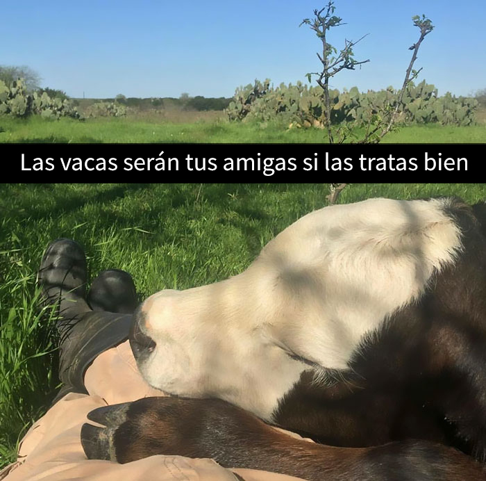 snapchat-animales-14