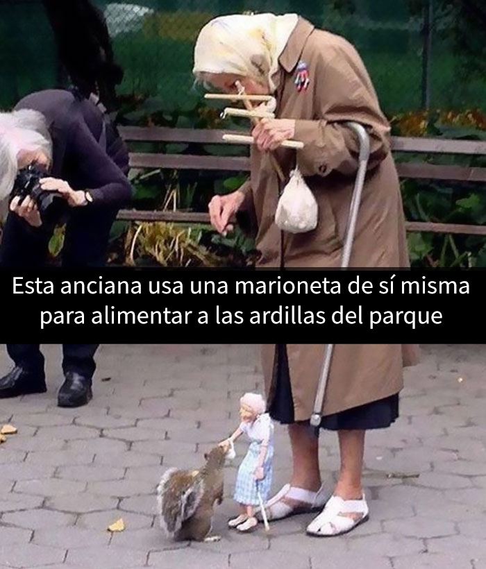 snapchat-animales-2