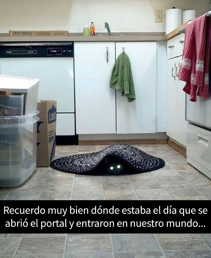 snapchat-animales-4