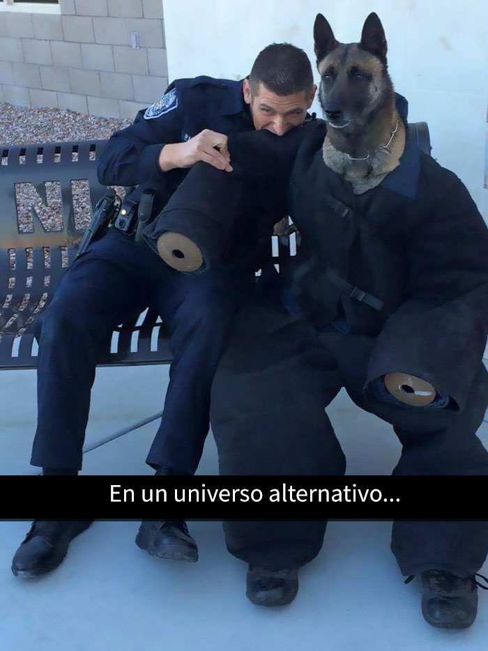 snapchat-animales-7