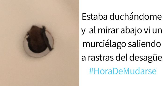 12 Locuras que hicieron que algunos se dieran cuenta de repente que era #HoraDeMudarse