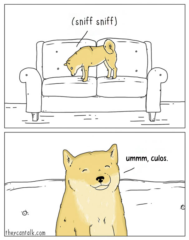 comics-si-animales-hablaran-jimmy-craig-2-2