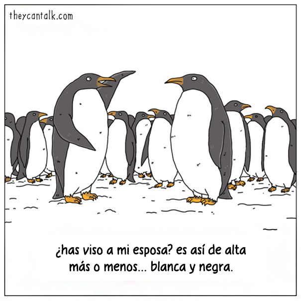 comics-si-animales-hablaran-jimmy-craig-2-3