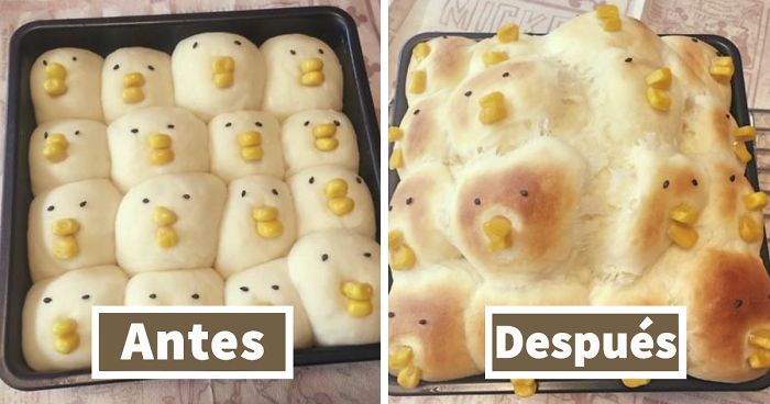 15 Maneras de fallar enormemente en la cocina