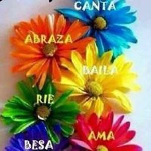 maricelacaballerocoto avatar