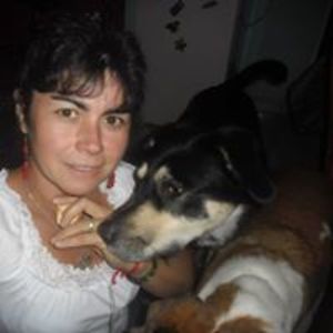 patorom16 avatar
