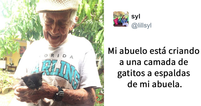 Este abuelo cuidó a escondidas a unos gatitos callejeros después de que su esposa le dijera que no se los podía quedar