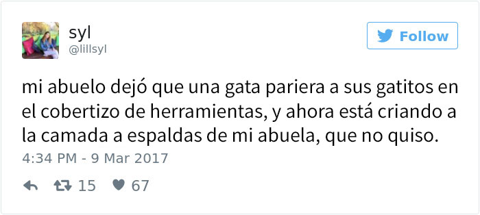 abuelo-gatos