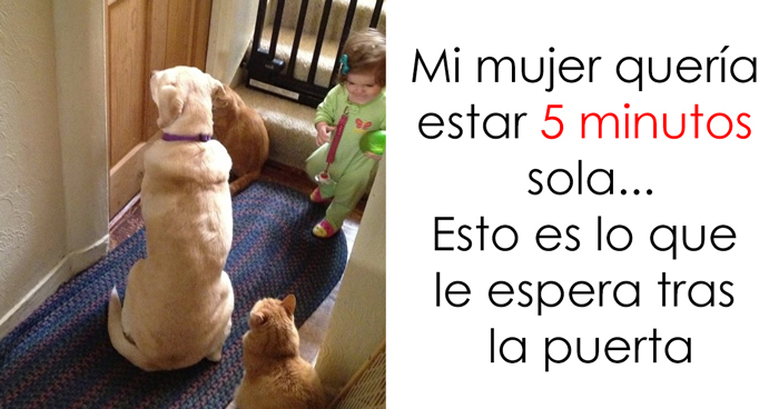 12 Divertidos memes sobre ser padres con los que te reirás tanto que despertarás a tus hijos