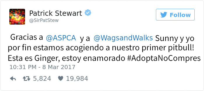 patrick-stewart-pitbull-1