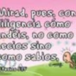jopascuals avatar