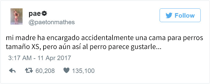camaperro